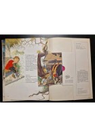 IL PIFFERO MAGICO di R Browning FIABE SONORE 14 Fabbri + DISCO 1966 illustrato