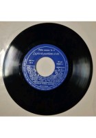 LA PICCOLA GUARDIANA D'OCHE Fratelli Grimm FIABE SONORE 13 Fabbri + DISCO 1966