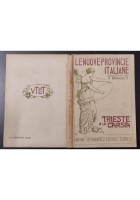 TRIESTE E LA CARSIA di A Brunialti 1920 UTET Libro LE NUOVE PROVINCE ITALIANE