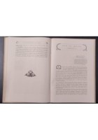 IL FRIULI ORIENTALE di Brunialti 1920 LE NUOVE PROVINCE ITALIANE Libro UTET