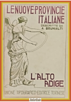 L'ALTO ADIGE di Attilio Brunialti 1919 UTET Libro LE NUOVE PROVINCE ITALIANE
