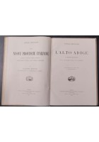 L'ALTO ADIGE di Attilio Brunialti 1919 UTET Libro LE NUOVE PROVINCE ITALIANE
