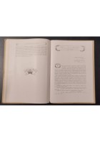 IL TRENTINO di Attilio Brunialti 1919 UTET Libro LE NUOVE PROVINCE ITALIANE