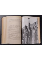 QUESTO MONDO GRANDE E TERRIBILE di Ginestra Amaldi 1951 Garzanti Libro scienze