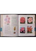PICCOLA ENCICLOPEDIA DI ORTO FLORO FRUTTICOLTURA Turchi 1965 Sgaravatti Libro