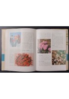 PICCOLA ENCICLOPEDIA DI ORTO FLORO FRUTTICOLTURA Turchi 1965 Sgaravatti Libro