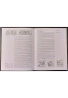 IL SARCOFAGO DELLE AMAZZONI di Bottini Setari 2007 Mondadori Electa Libro