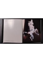 RICCARDO BENVENUTI 1986 Art Gallery Montecatini Libro agm testimonianze