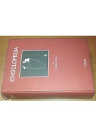 ENCICLOPEDIA EINAUDI volume 5 divino - fame 1978 COME NUOVO