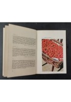 GLI ESTERNI A COLORI FOTOGUIDA di George Wells Del Castello Libro foto guide