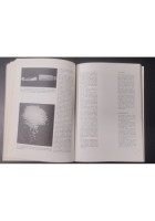 MOLECOLE GIGANTI 1967 Zanichelli Libro articoli pubblicati in scientific america