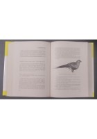AVIFAUNA ITALIANA di Augusto Toschi 1969 editoriale Olimpia Libro caccia uccelli