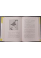 AVIFAUNA ITALIANA di Augusto Toschi 1969 editoriale Olimpia Libro caccia uccelli