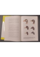 AVIFAUNA ITALIANA di Augusto Toschi 1969 editoriale Olimpia Libro caccia uccelli