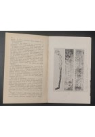 ATTRAVERSO L’ITALIA MISTERIOSA di Bianca Capone 1978 Longanesi Libro occulto