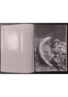 GUIDA DEL MUSEO CIVICO DI PALEONTOLOGIA MAGLIE De Donno Lorentiis Liguori Libro