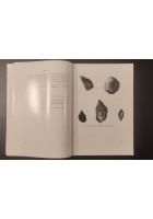 GUIDA DEL MUSEO CIVICO DI PALEONTOLOGIA MAGLIE De Donno Lorentiis Liguori Libro