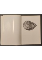 GUIDA DEL MUSEO CIVICO DI PALEONTOLOGIA MAGLIE De Donno Lorentiis Liguori Libro