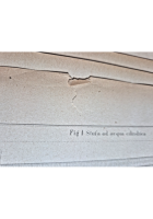 COSTRUZIONI DIVERSE Atlante di Breymann 1931 Libro TRATTATO COSTRUZIONI CIVILI