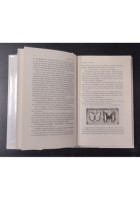 ANGELI E INSETTI di Antonia S Byatt 1994 Einaudi I edizione prima Libro romanzo