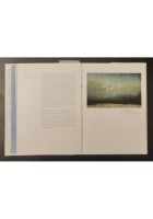 IL MUSEO IMMAGINATO di Philippe Daverio 2011 Rizzoli Libro arte