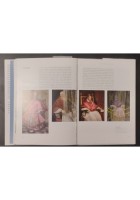 IL MUSEO IMMAGINATO di Philippe Daverio 2011 Rizzoli Libro arte