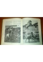 A CAVALLO COME E DOVE di Lucio Lami 1971 Aldo Martello libro manuale