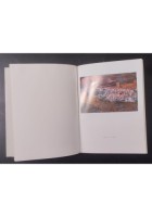 RAFFAELE SPIZZICO CON UN PROFILO DI GIUSEPPE CASSIERI 1969 Dedalo Libro pittura
