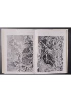 KOKOSCHKA La vita e l'opera di Hans Maria Wingler 1961 Il Saggiatore Libro