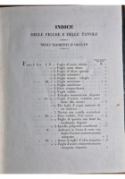 ELEMENTI DI ORNATO A MANO LIBERA E GEOMETRICO di Giuseppe Vallardi 1834 Libro