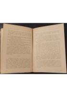 BANDIERA SULLA VETTA di Gennaro Selvaggi 1938 La Prora Libro guerra fascismo