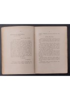 ALI DI GIOVINEZZA ALI DI VITTORIA Enrico Santoni 1939 Libro Ceccherelli Biografia