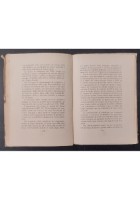 LE BATTAGLIE DI GORIZIA E BAISIZZA Carlo Geloso 1928 libreria Del Littorio Libro