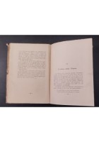 LE BATTAGLIE DI GORIZIA E BAISIZZA Carlo Geloso 1928 libreria Del Littorio Libro