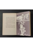 P.A.P.A. PRECEDENZA ASSOLUTA SU TUTTE LE PRECEDENZE Brandimarte 1978 Libro