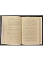 LA LEGGEREZZA DELL'ESSERE di Franz Wilczek 2009 Mondadori Libro massa etere forz