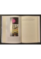 LA LEGGEREZZA DELL'ESSERE di Franz Wilczek 2009 Mondadori Libro massa etere forz