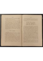 GUIDA DI POMPEI di Nicola Pagano 1881 Tipografia pompeian, tiipoScafati Libro