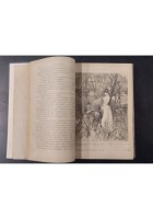 3 ROMANZI DI FEUILLET Perino Libro antico giovane povero storia parigina Camors
