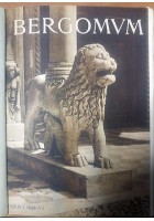 BERGOMUM rivista di Bergamo marzo - dicembre 1928 rassegna attività comunale *