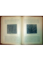 BERGOMUM rivista di Bergamo marzo - dicembre 1928 rassegna attività comunale *
