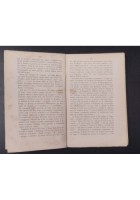 STUDI LETTERARI di Domenico Ciampoli 1891 Giannotta Libro Antico Catania