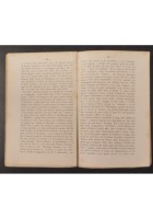 STUDI LETTERARI di Domenico Ciampoli 1891 Giannotta Libro Antico Catania
