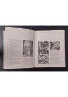 IL BACIO di Romano Giacchetti 1984 IdeaLibri Cinque Sensi Libro illustrato