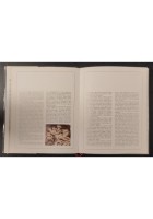 IL BACIO di Romano Giacchetti 1984 IdeaLibri Cinque Sensi Libro illustrato
