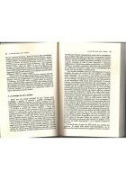 SCIENZA DELLA CULTURA E FENOMENOLOGIA DEGLI STILI di R Birilli 2001 Mulino Libro