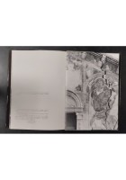 IMMAGINI DAL FRIULI 1977 Libro edizione fuori commercio Terremoto Venezia Giulia