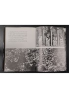 IMMAGINI DAL FRIULI 1977 Libro edizione fuori commercio Terremoto Venezia Giulia