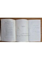 STORIA DELLA CITTÀ DI BARLETTA di Sabino Loffredo 2 volumi completo 1893 Libro