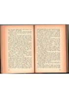 SANGUE E LIBERTÀ IN GERMANIA di Friedrich Schlotterbeck 1949 Einaudi Libro